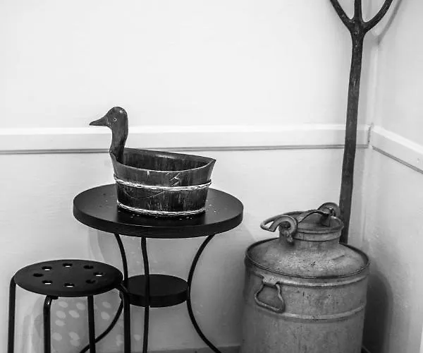 Campingplads D'hotes Le Pessac Vielmur-sur-Agout