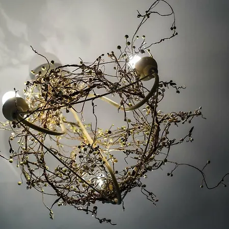 Kemping D'hotes Le Pessac