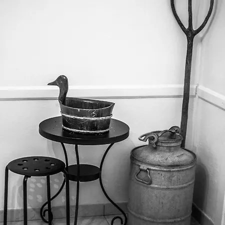 Camping D'hotes Le Pessac Vielmur-sur-Agout